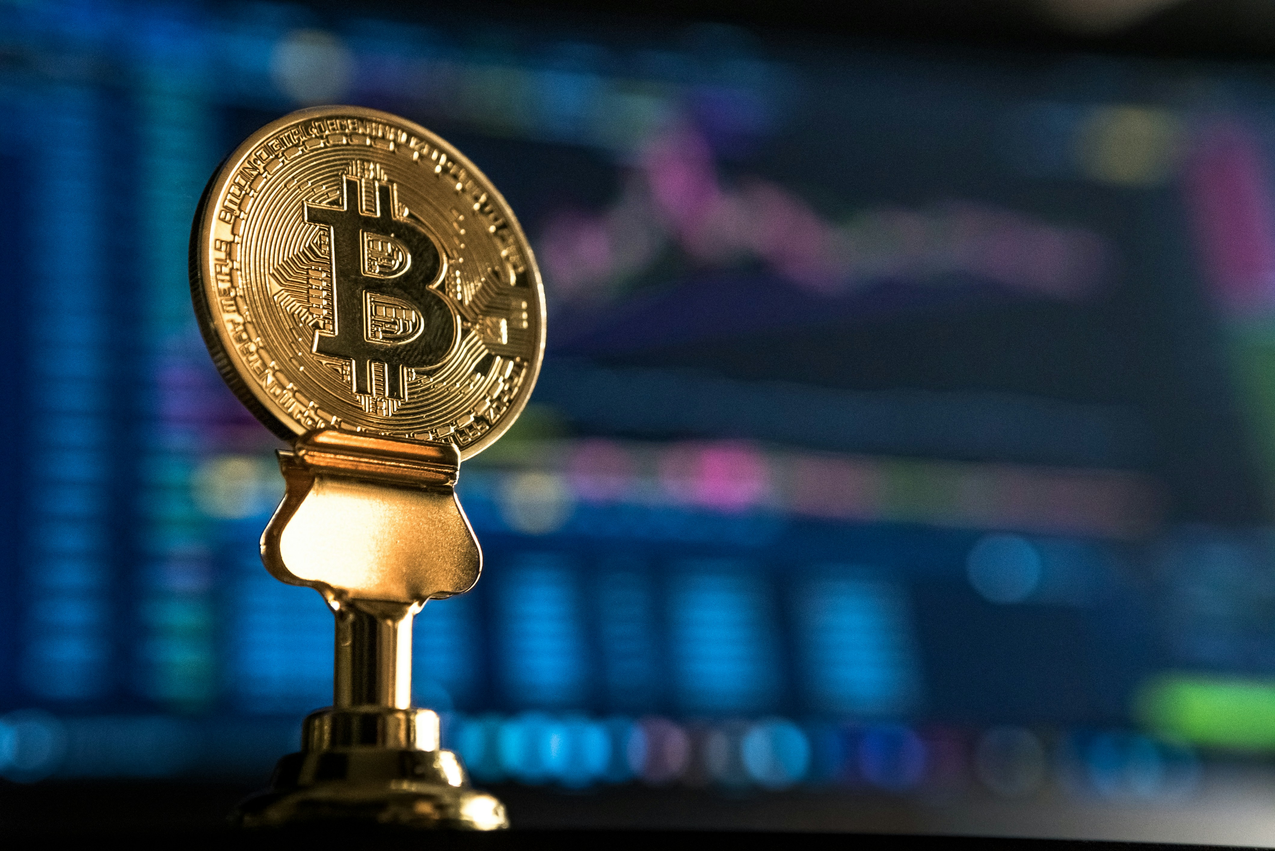 Top 7 Cryptocurrencies to Buy in February 2024
